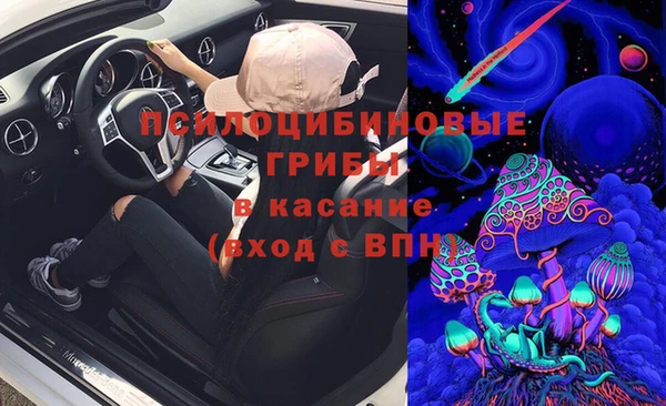 индика Бронницы