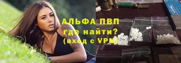 мяу мяу мука Инсар