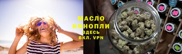 индика Бронницы
