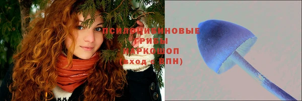 гашик Богородск