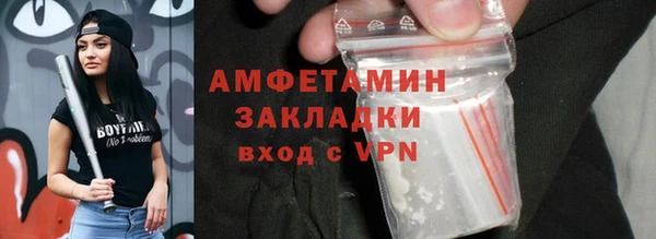 индика Бронницы