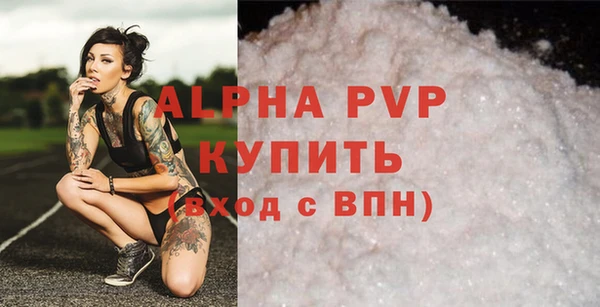 ешки Богданович