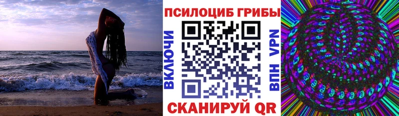 blacksprut tor  сайты даркнета как зайти  Галлюциногенные грибы Cubensis  цены   Демидов 